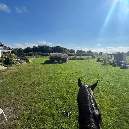 Stajnia Orlowscy Villa Ladzin  Esterno foto