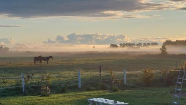 Stajnia Orlowscy Villa Ladzin  Esterno foto